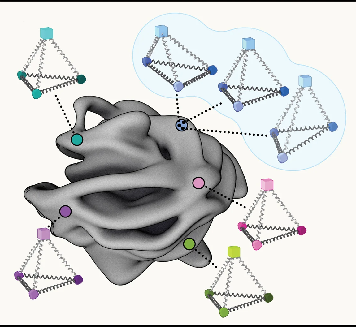 Open access visualization of Illustration, Workflow, Cell State Manifold, Observables, Holistic Cell State