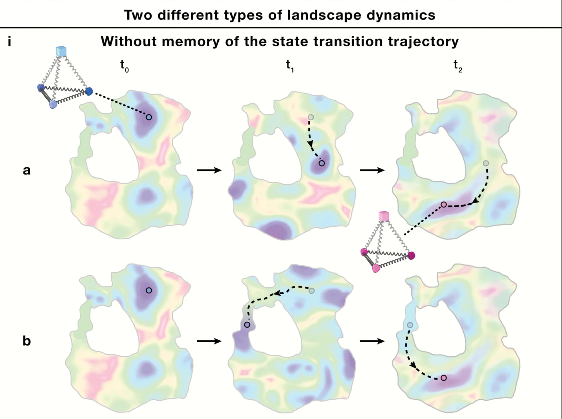 Open access visualization of Workflow, Illustration, Probability Landscape, Cell State Transition, Cell Observables