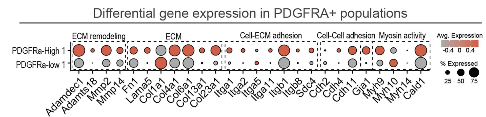 Open access visualization of Bubble Plot, Dot Plot, Gene Expression, Cellular Functions, Molecular Functions