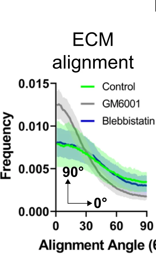Open access visualization of Line Plot, Error Bars, Density Plot, Fibronectin, ECM
