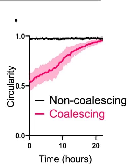 Open access visualization of Line Plot, Error Bars, Aggregate Geometry, Coalescence, Clusters