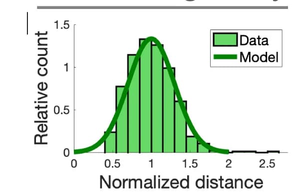 Open access visualization of Histogram, Line Plot, Cluster Distances, SPV Model, Gaussian Distribution