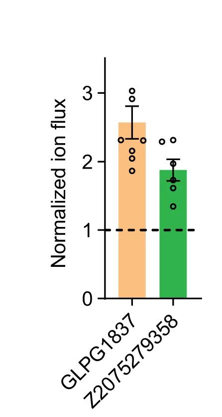 Open access visualization of Bar Plot, Error Bars, Z2075279358, CFTR, CFBE41o Cells