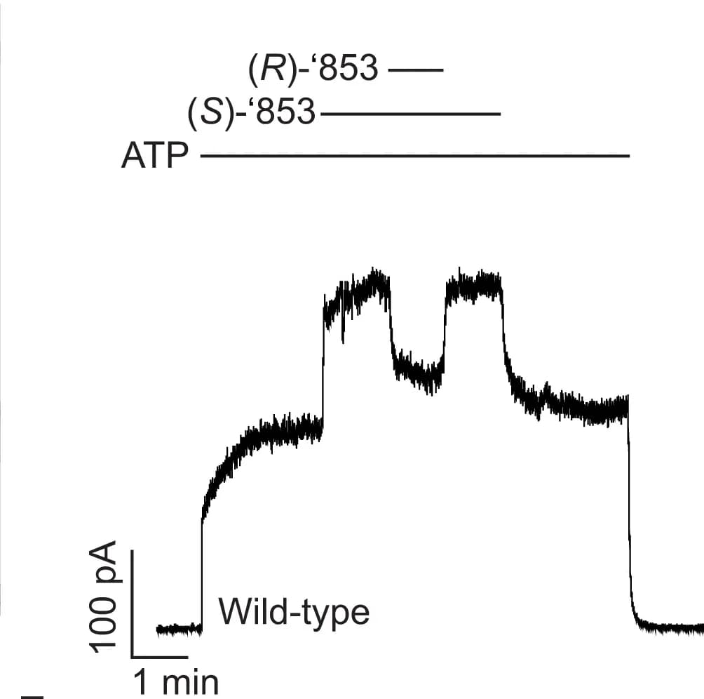 Open access visualization of Line Plot, Competition assay, Potentiation