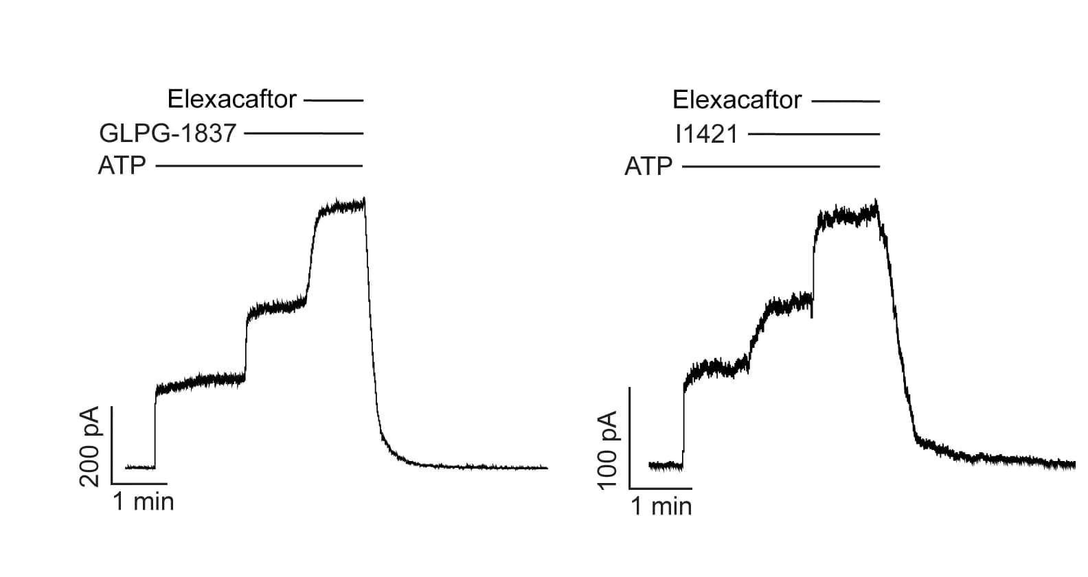 Open access visualization of Line Plot, Line Step, Current Traces, Phosphorylated WT CFTR, Membrane Patches