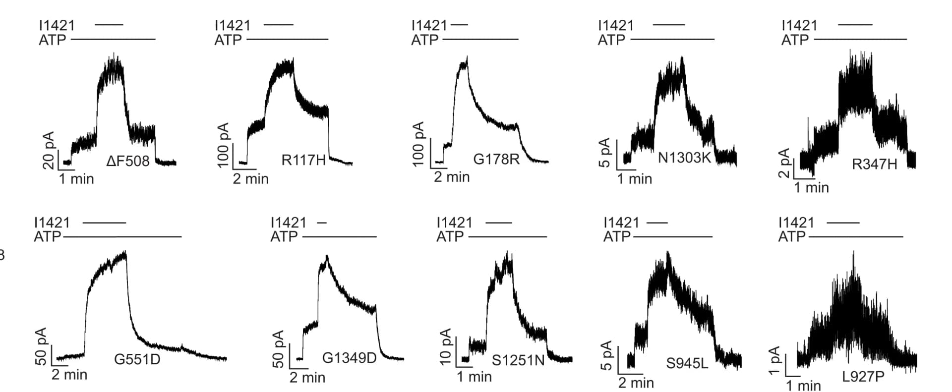 Open access visualization of Line Plot, Current Traces, I1421, Membrane Patches, CHO Cells