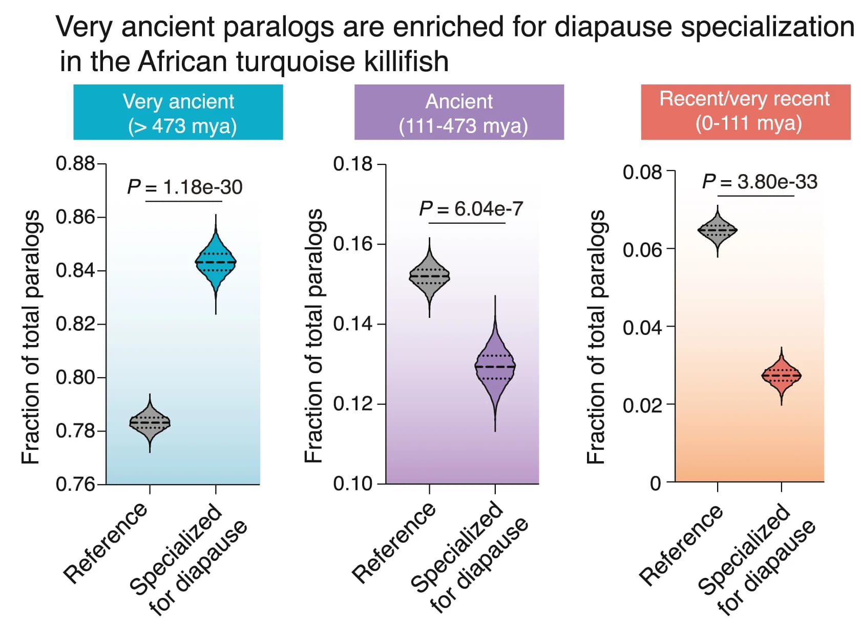 Open access visualization of Violin Plot, Paralog Pairs, Ancient, Recent, Specialized Paralog Fractions