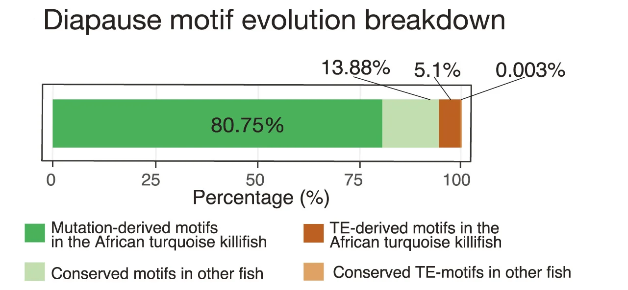 Open access visualization of Stacked Bar Plot, Evolutionary Mechanisms, Mutation, TE Insertion, Motif Evolution