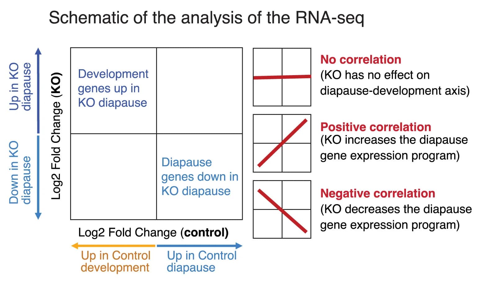 Open access visualization of Workflow, Flowchart, Illustration, RNA-seq, Data Analysis