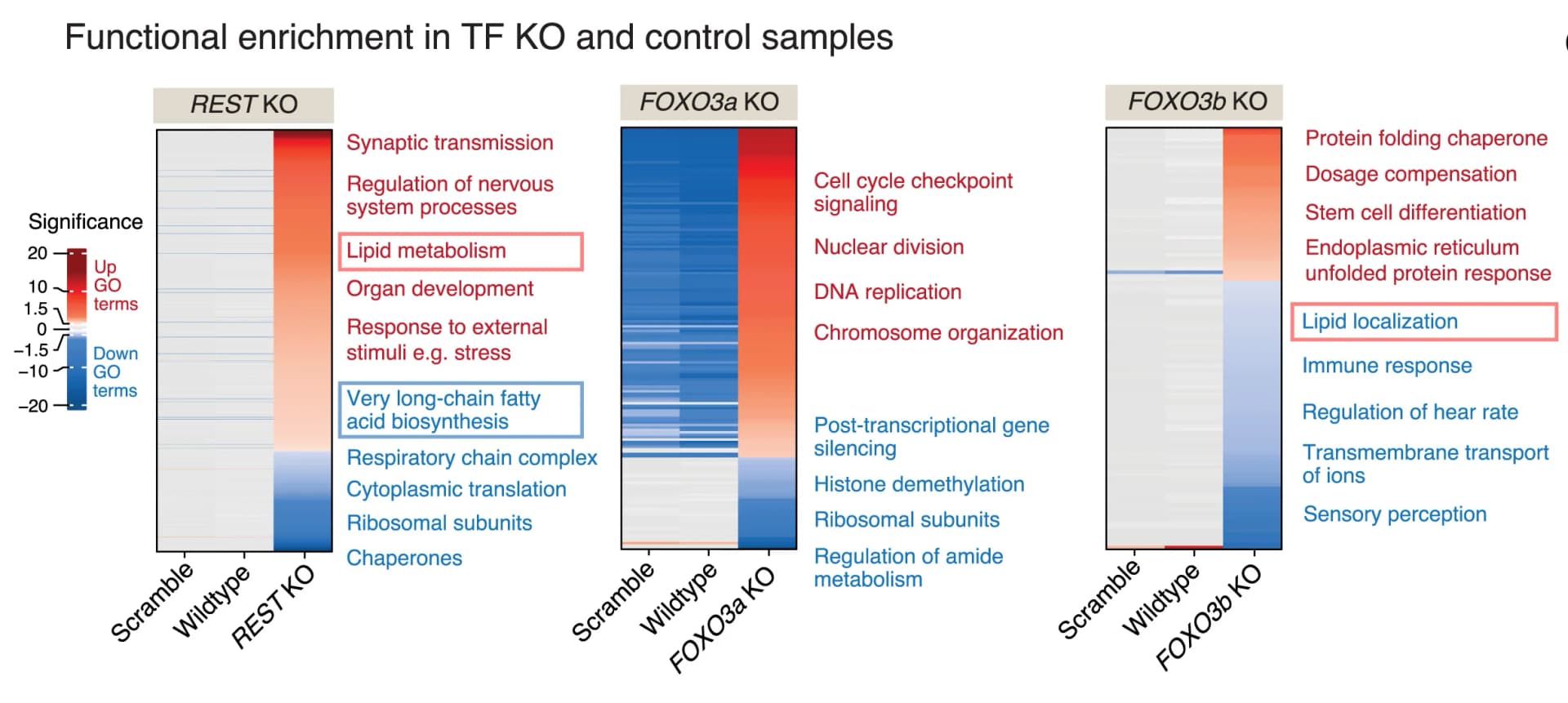 Open access visualization of Heatmap, GO Enrichment Analysis, Diapause, Transcription Factor, Knockout
