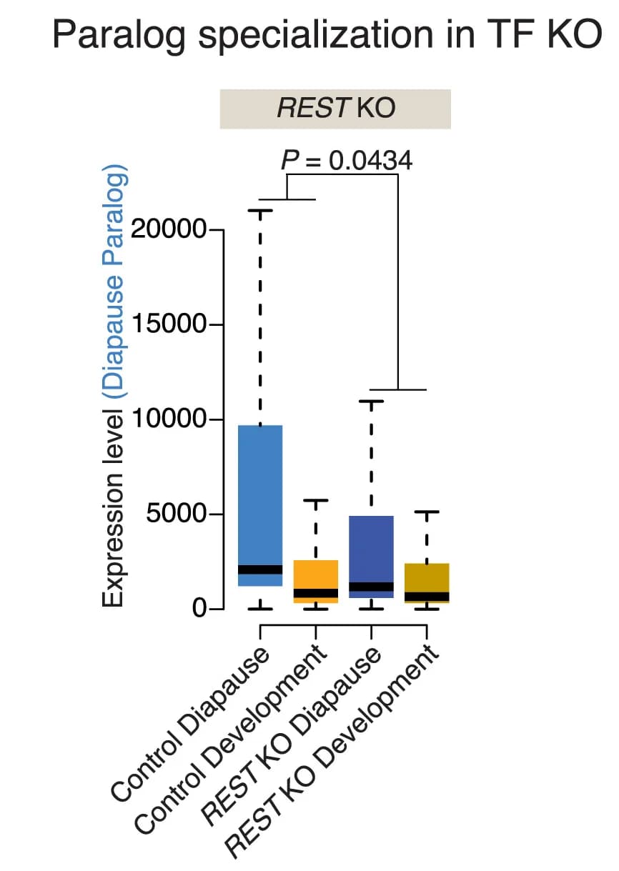 Open access visualization of Box Plot, Paralog, Specialization, Diapause, Development