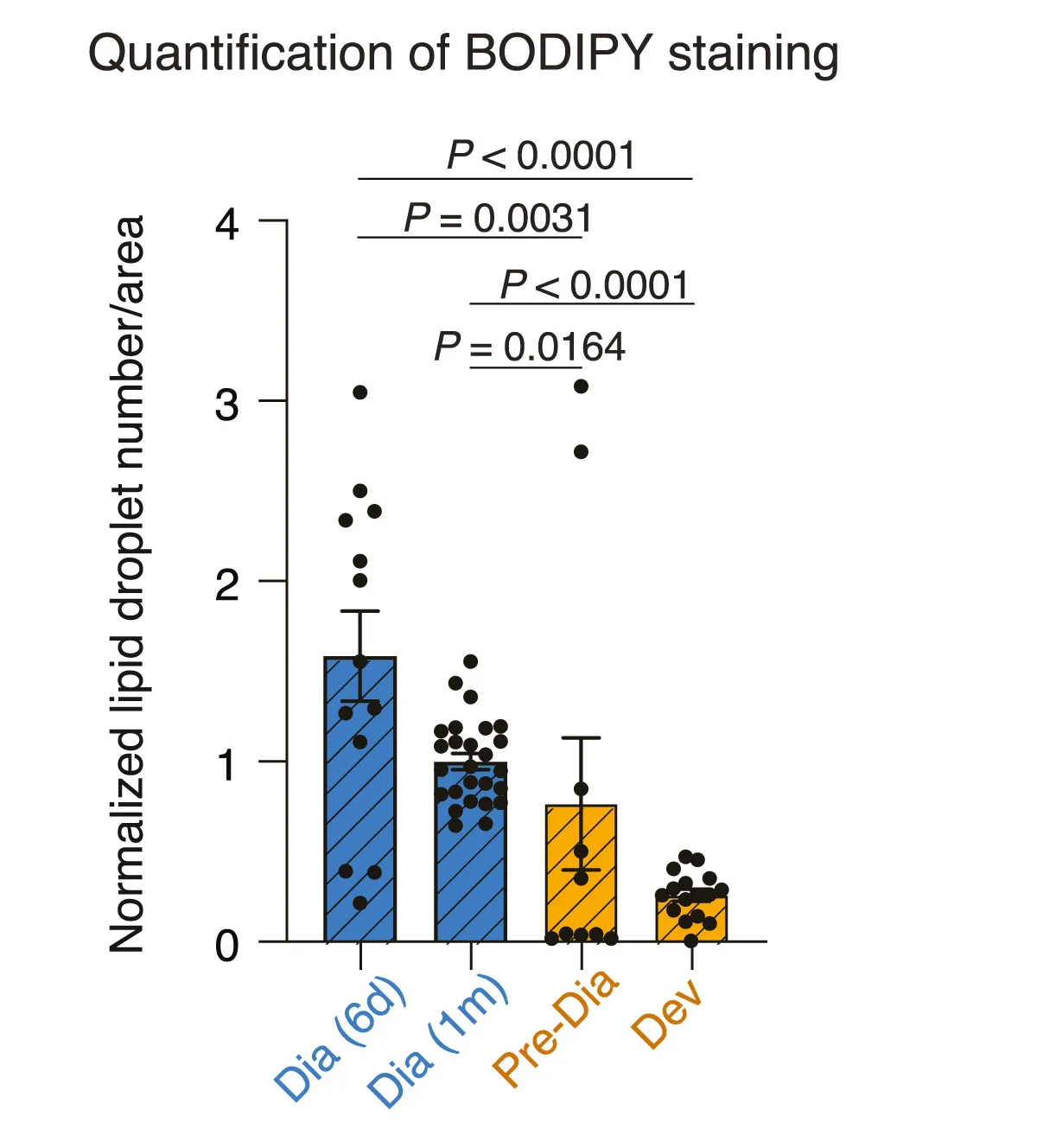 Open access visualization of Bar Plot, Error Bars, Scatter Plot, Lipid Droplet Quantification, African Turquoise Killifish