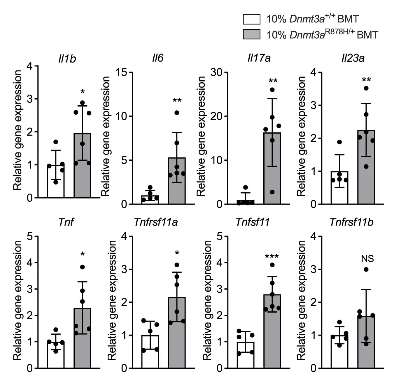 Open access visualization of Bar Plot, Error Bars, Gingival mRNA Expression, Molecules