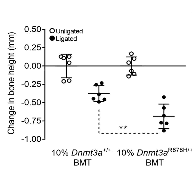 Open access visualization of Scatter Plot, Error Bars, Bone Loss, LIP-Subjected Mice