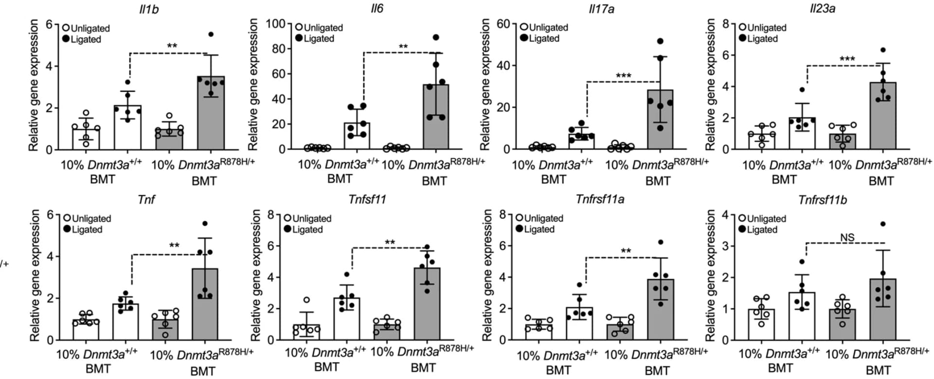 Open access visualization of Bar Plot, Scatter Plot, Error Bars, Gingival mRNA Expression, Molecules
