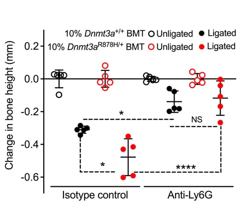 Open access visualization of Scatter Plot, Error Bars, Bone Loss, LIP-Subjected Mice