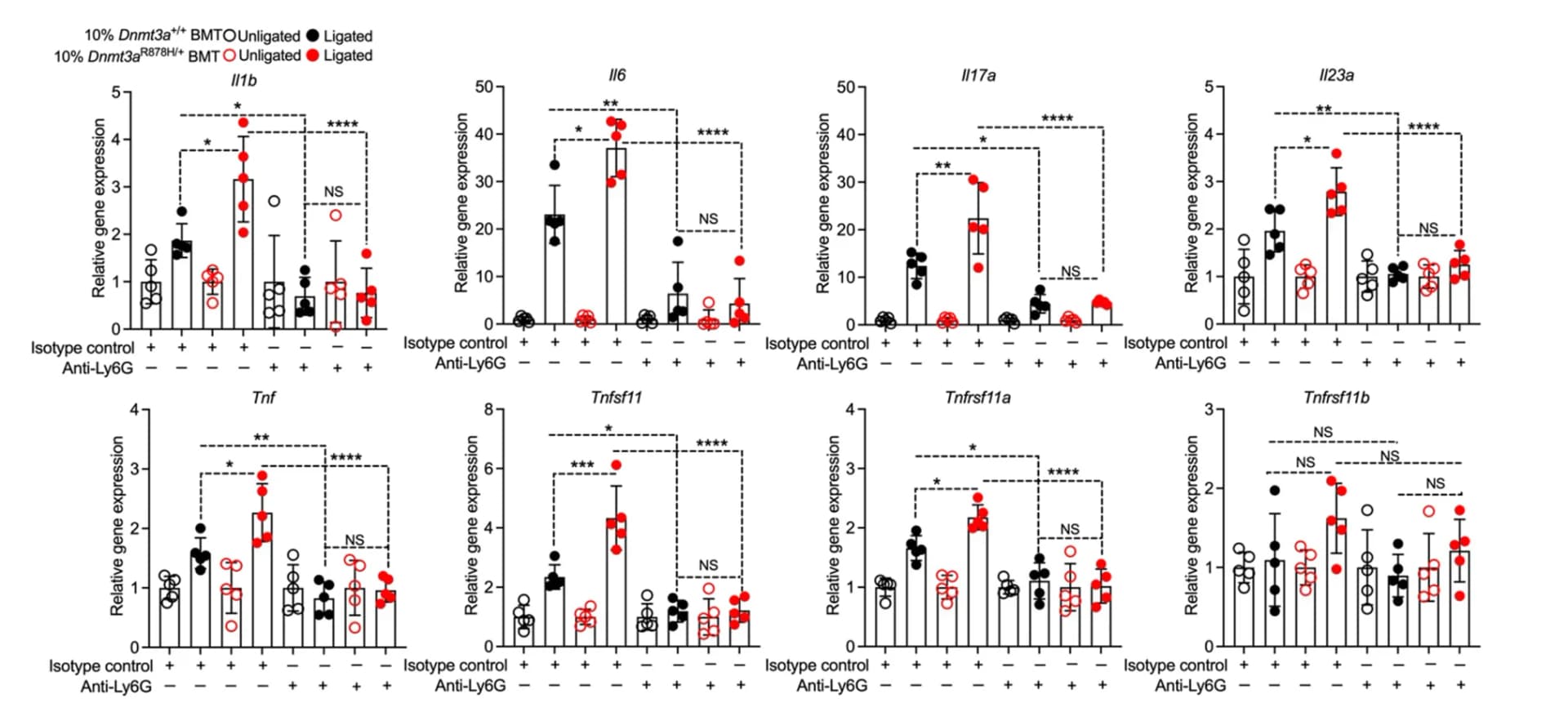 Open access visualization of Bar Plot, Scatter Plot, Error Bars, Gingival mRNA Expression, Molecules