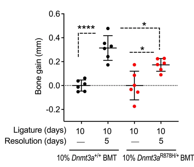 Open access visualization of Scatter Plot, Error Bars, Bone Gain, Bone Heights