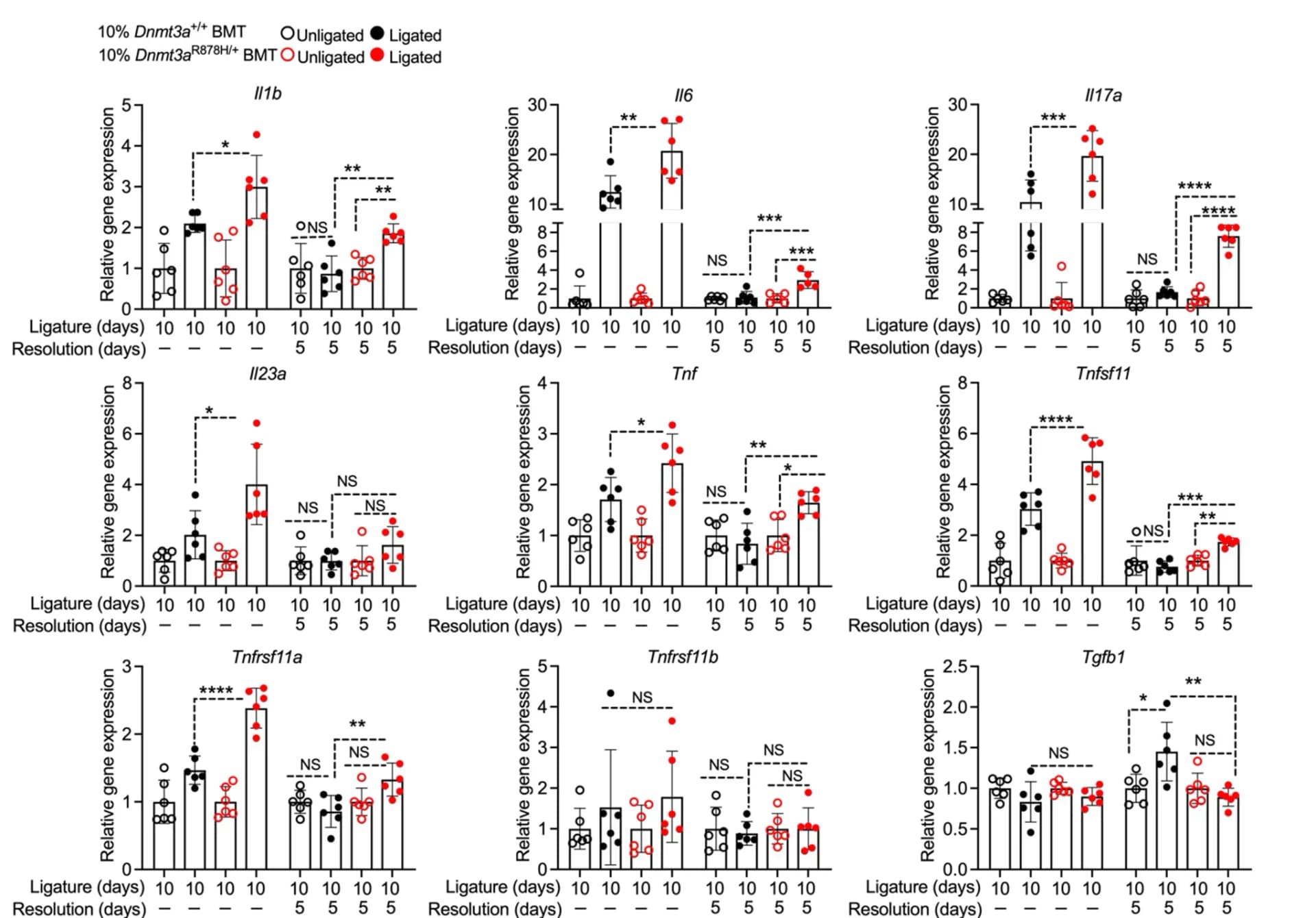 Open access visualization of Bar Plot, Scatter Plot, Error Bars, Gingival mRNA Expression, Molecules