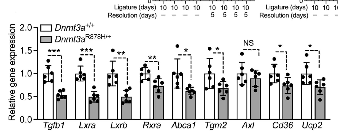 Open access visualization of Bar Plot, Error Bars, Scatter Plot, mRNA Expression, Molecules
