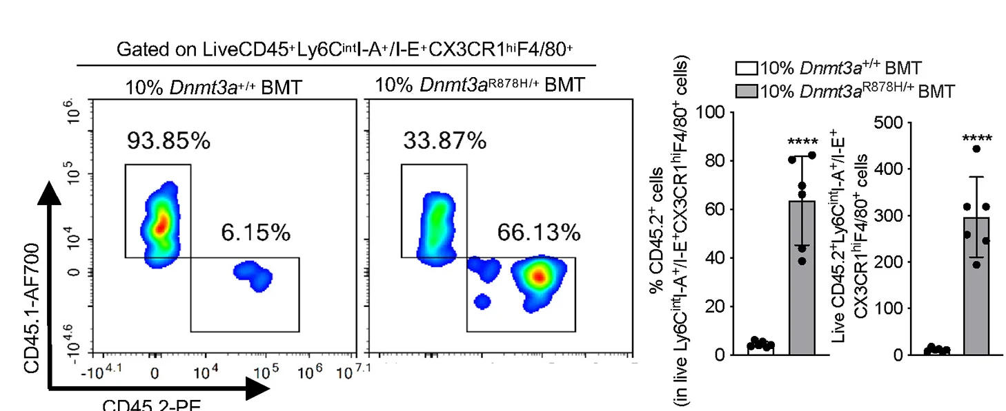 Open access visualization of Scatter Plot, Bar Plot, Error Bars, Bone Marrow Transplantation, Macrophages