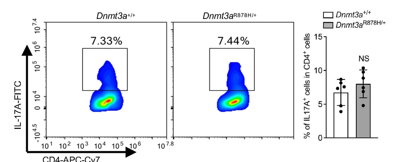 Open access visualization of Scatter Plot, Bar Plot, Error Bars, T Cells, Th17 Differentiation