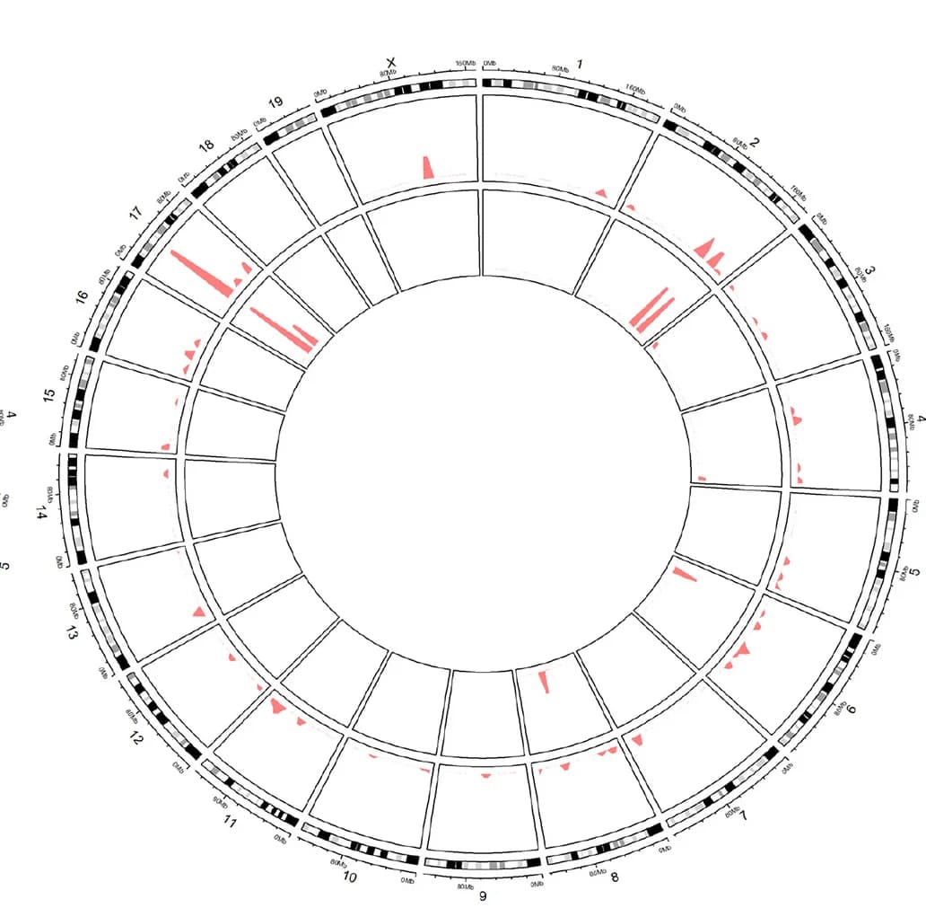 Open access visualization of Bar Plot, Histogram, Circos Plot, DNA Hypermethylation, CD11b+ Cells