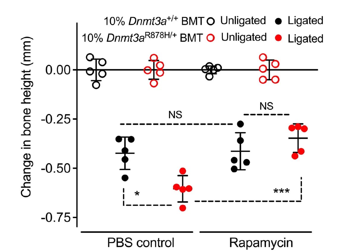 Open access visualization of Scatter Plot, Error Bars, Bone Loss, LIP, Mice