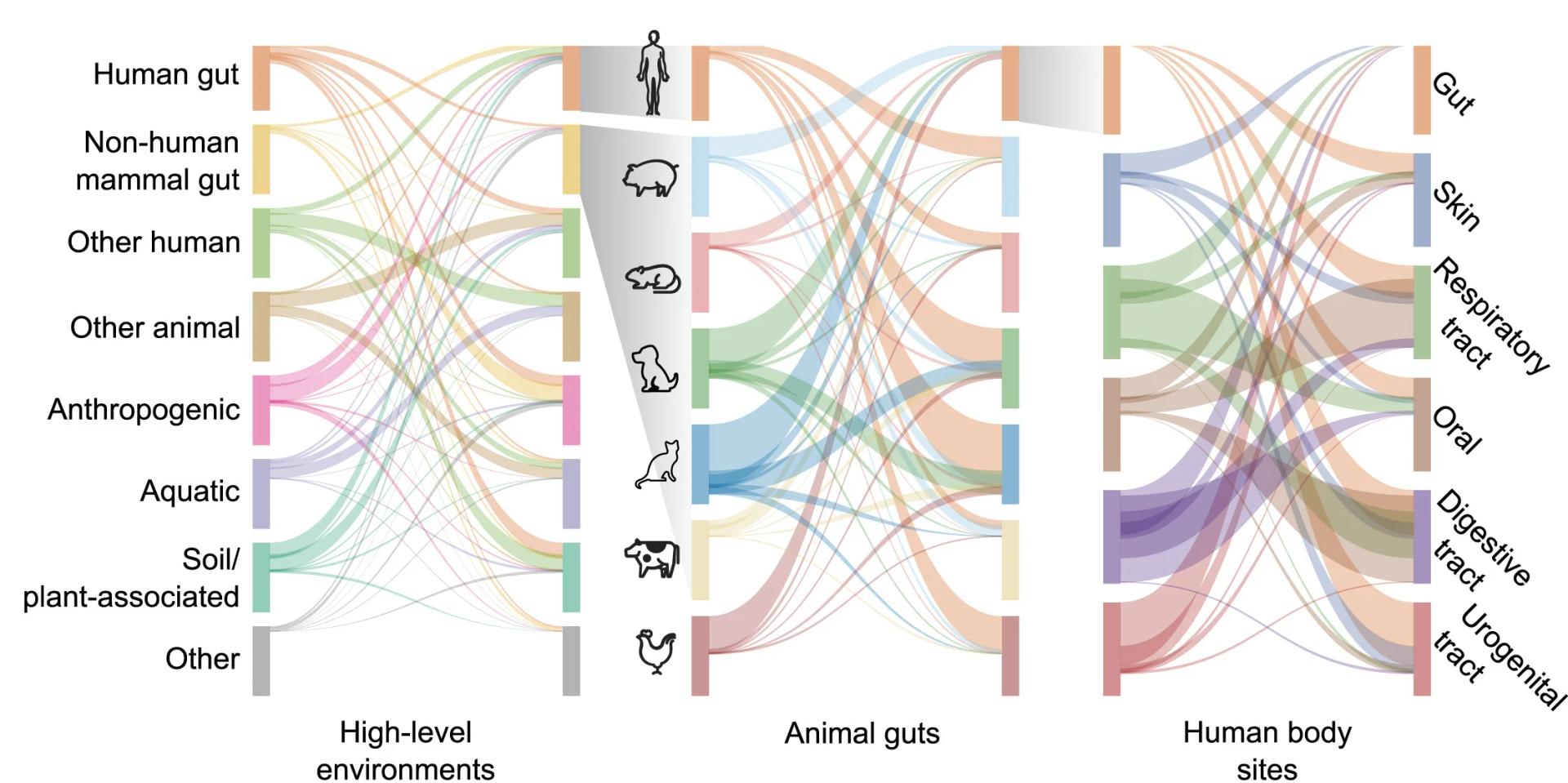 Open access visualization of Sankey, c_AMPs, Habitats, Sharing