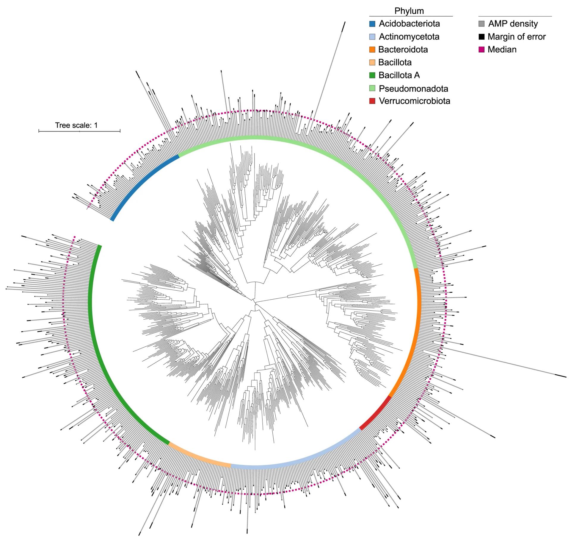 Open access visualization of Network, Pathway, Taxonomy, Taxa, AMPSphere