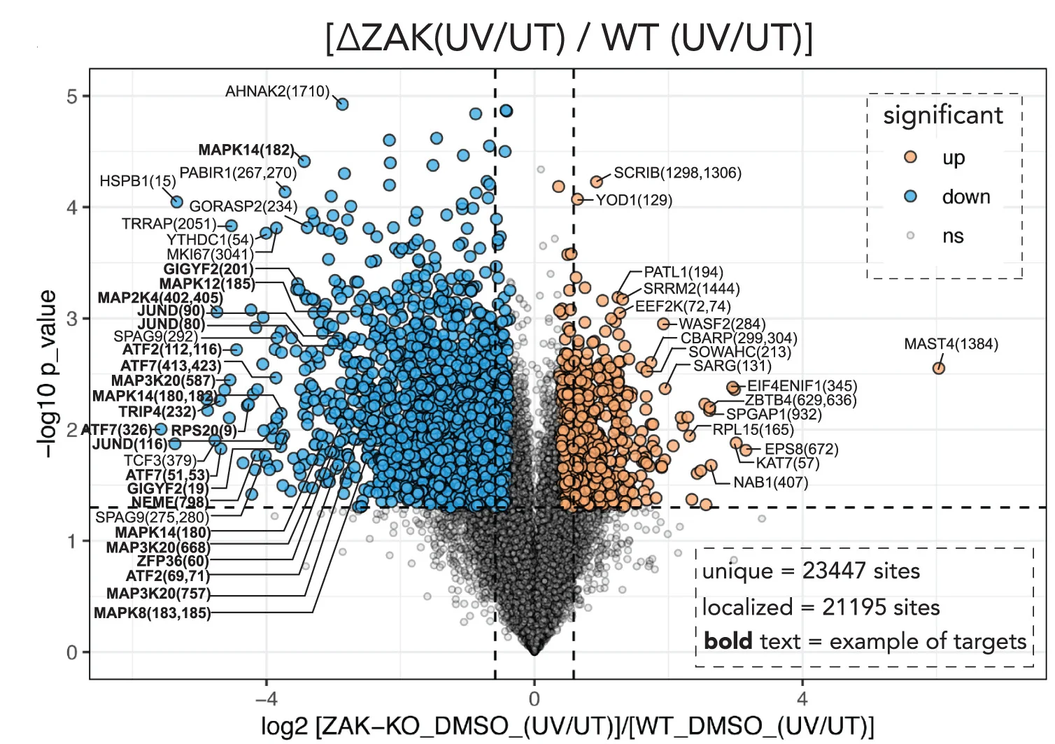 Open access visualization of Volcano Plot, Scatter Plot, Volcano Plots, Phosphosite Abundance, UV-C