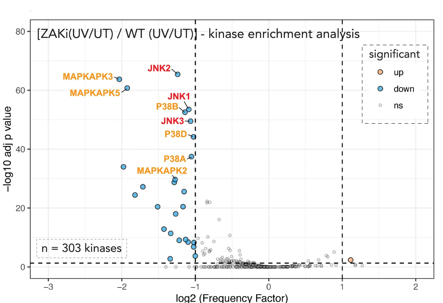Open access visualization of Volcano Plot, Scatter Plot, Motif Enrichment Analysis, Phosphoproteomic Data, Kinases