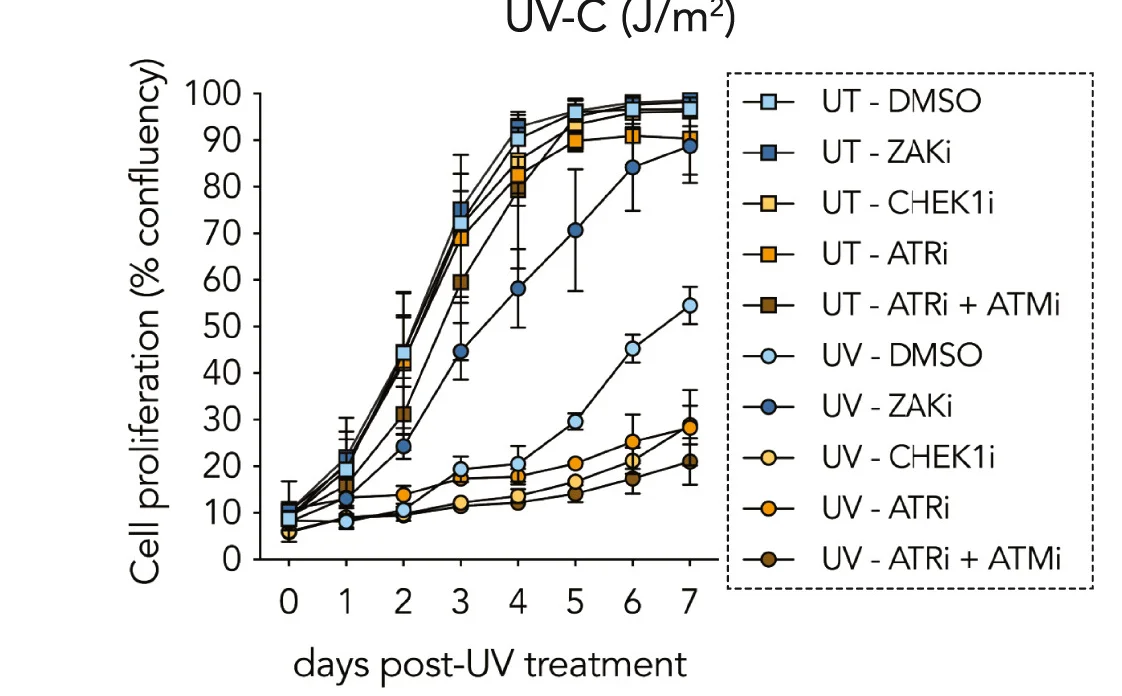 Open access visualization of Line Plot, Error Bars, Proliferation Curves, MCF10a Cells, UV-C