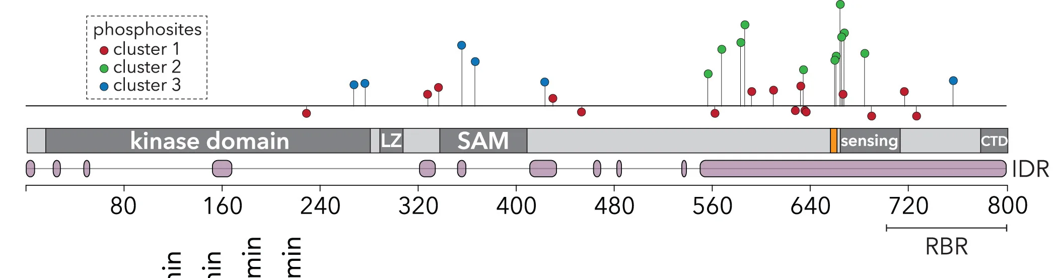Open access visualization of Scatter Plot, ZAKalpha, Leucine Zipper, Sterile Alpha-Motif, C-Terminal Domain