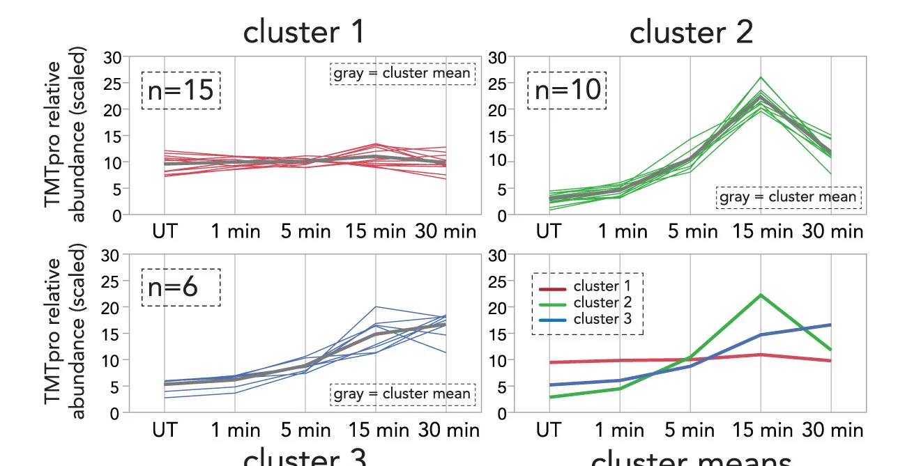 Open access visualization of Line Plot, ZAK, Phosphosite Clusters, K-Means Clustering, Cluster Means