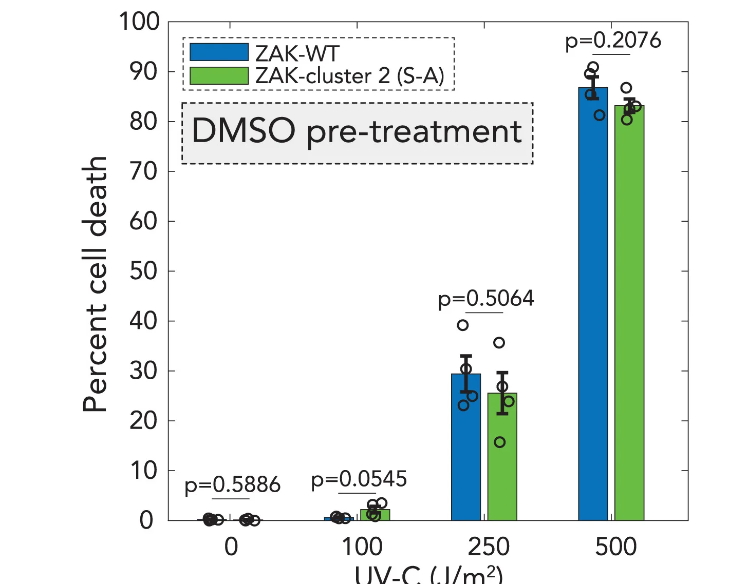 Open access visualization of Bar Plot, Clustered, Error Bars, MCF10a ΔZAK Cells, WT ZAK Variant