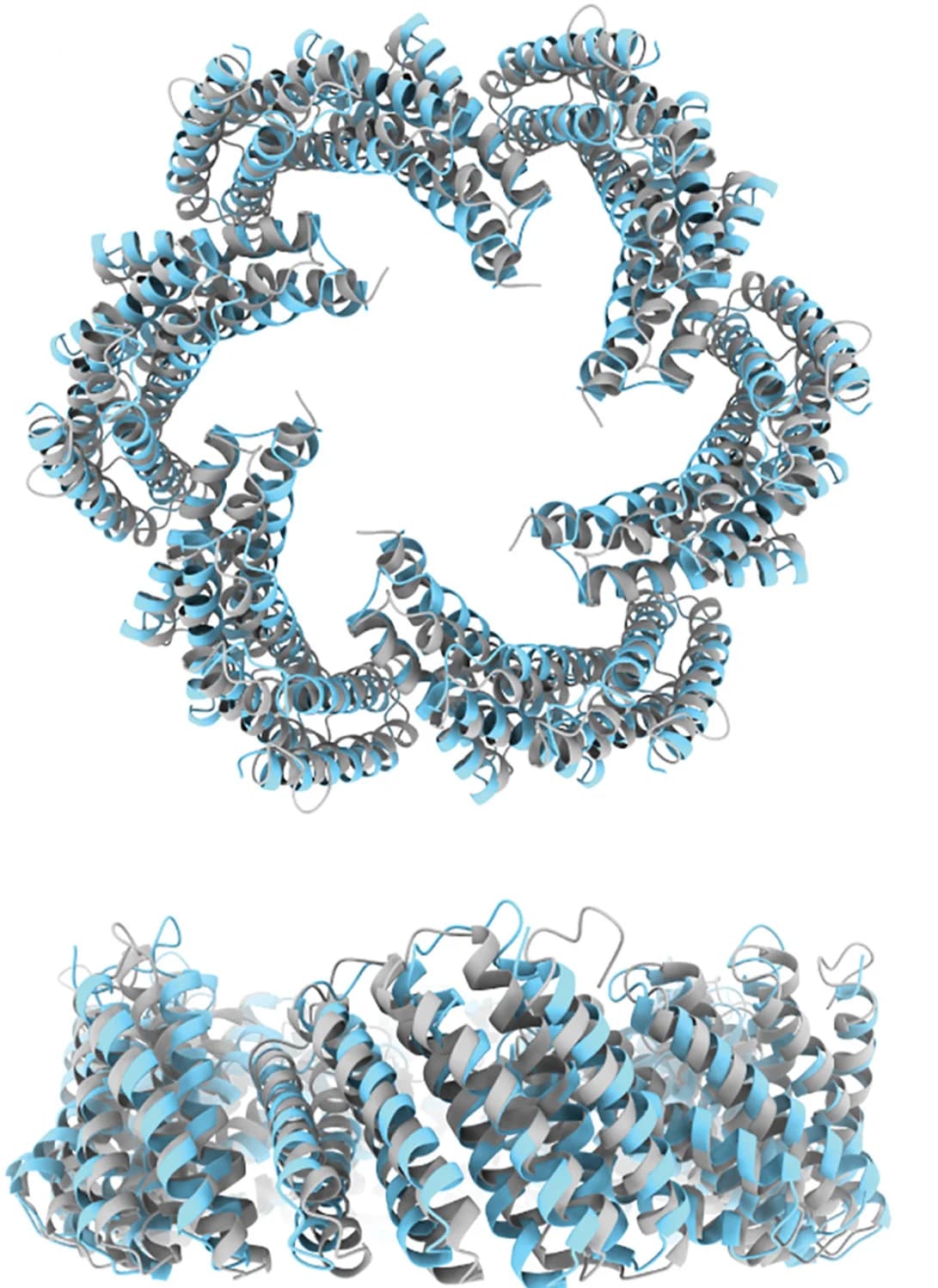 Open access visualization of Protein Structure, C6-79, Design Model, Cryo-EM Structure