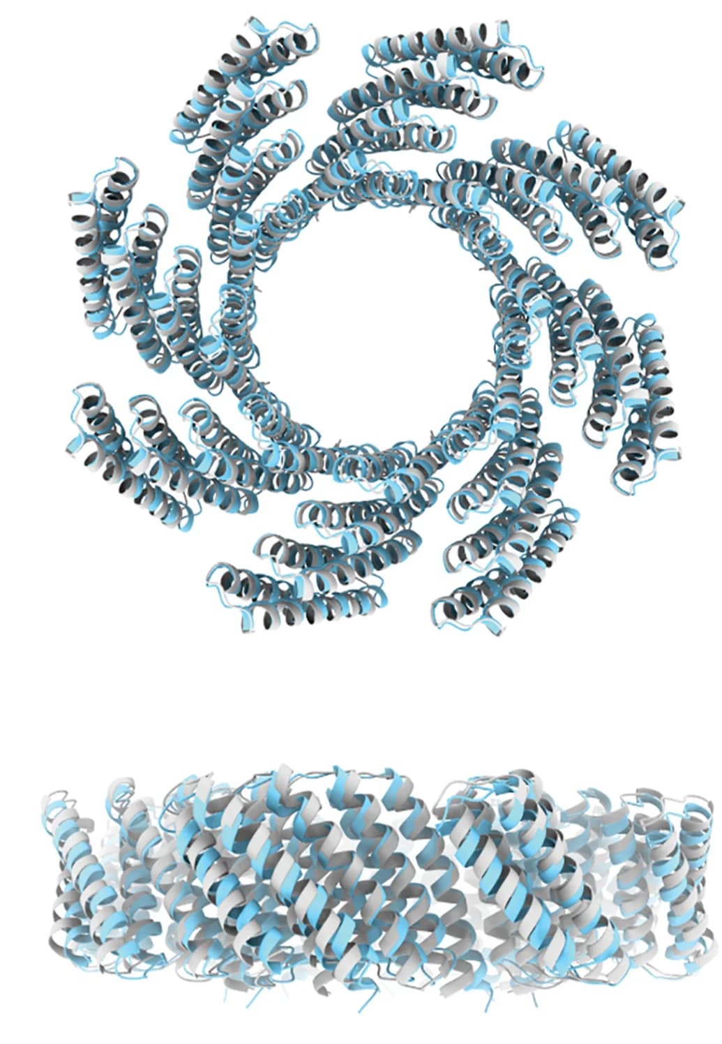 Open access visualization of Protein Structure, C8-71, Design Model, Cryo-EM Structure