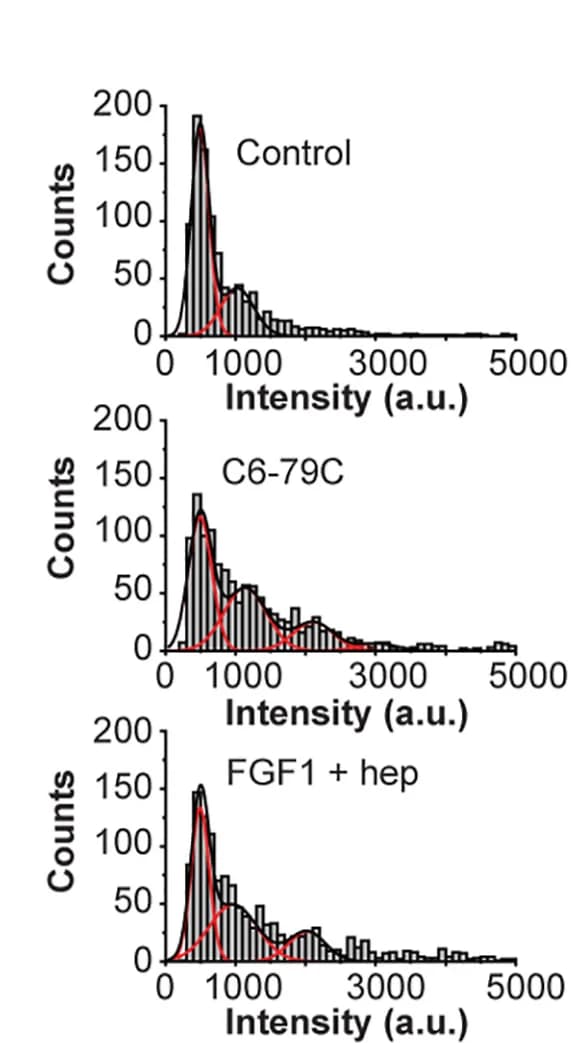 Open access visualization of Histogram, Line Plot, Density Plot, Intensity Histograms, Receptor Clusters