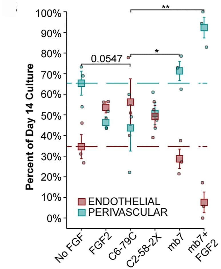 Open access visualization of Box Plot, Scatter Plot, Endothelial Cells, Perivascular Cells, FGF2
