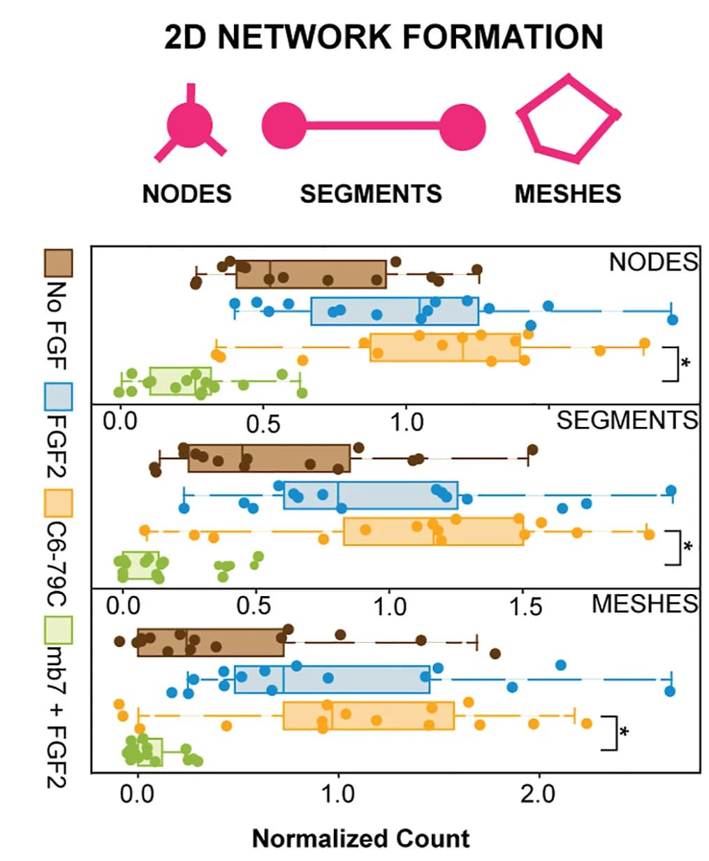 Open access visualization of Box Plot, Scatter Plot, 2D Network Formation, Nodes, Segments