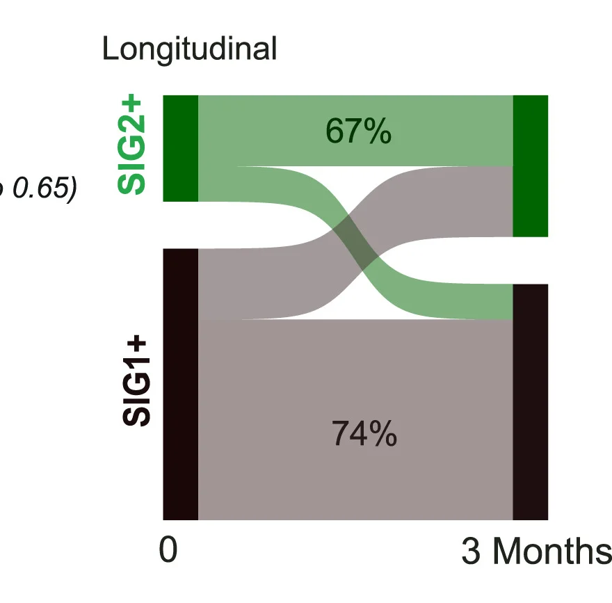 Open access visualization of Sankey, Sankey Diagram, Longitudinal Follow Up, Patient Categorization, TOPOSCORE