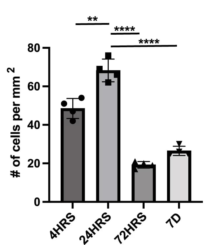 Open access visualization of Bar Plot, Error Bars, Dopamine Neurons, Cell Density, Quantification