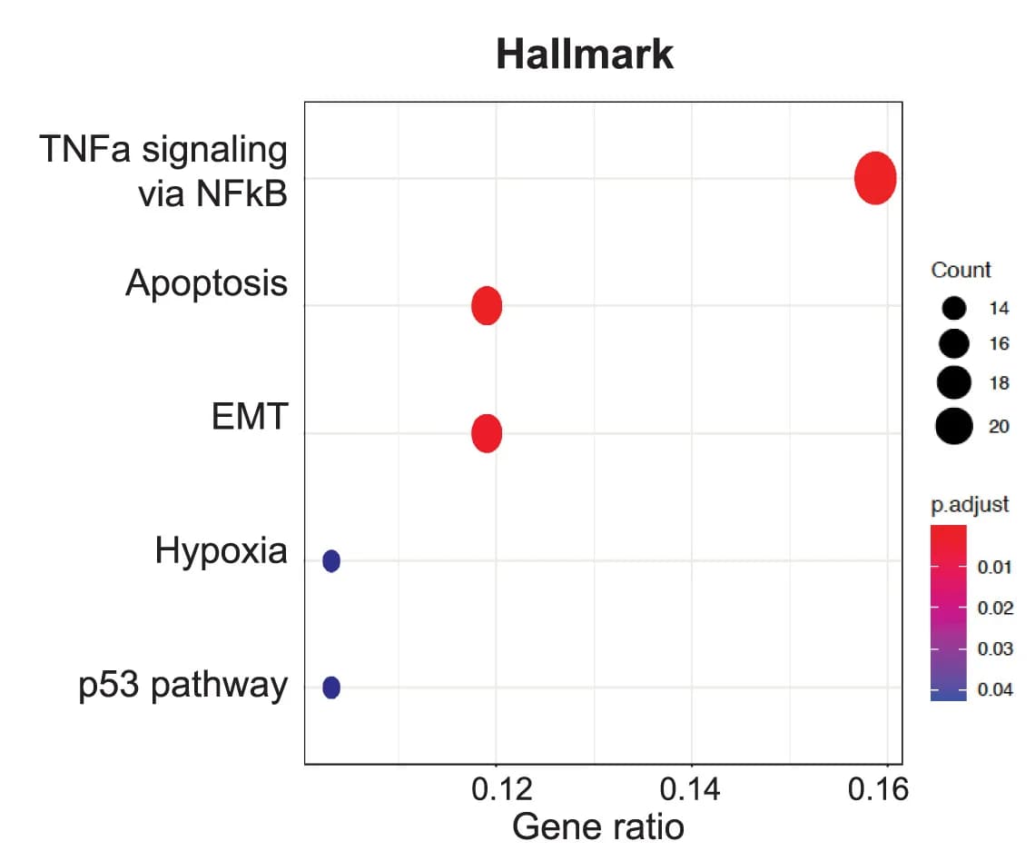 Open access visualization of Bubble Plot, Scatter Plot, Pathway Analysis, Upregulated Genes, Functional Categories