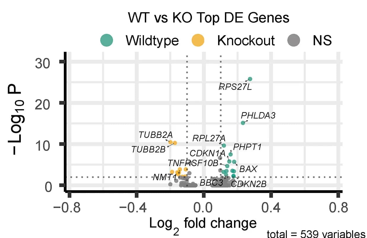 Open access visualization of Volcano Plot, Scatter Plot, Volcano Plots, Differentially Expressed Genes, BAX