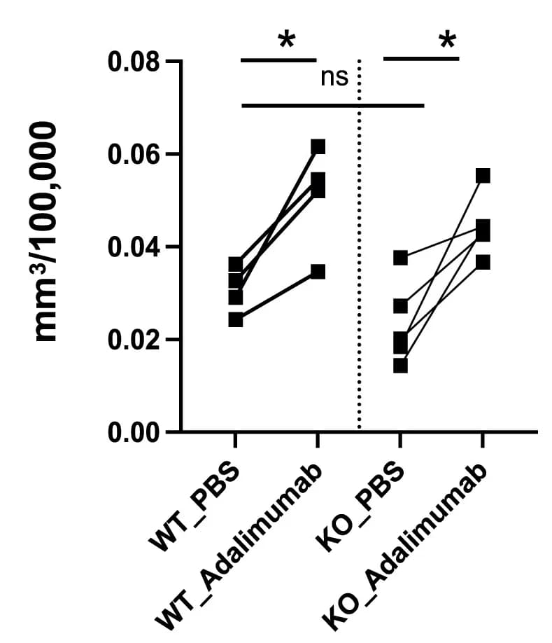 Open access visualization of Line Plot, Scatter Plot, Cavalier’s Probe, Volume, Grafting