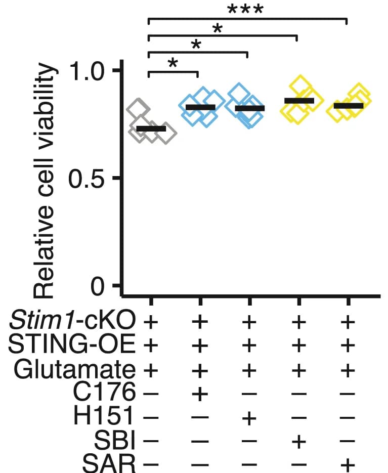 Open access visualization of Scatter Plot, Relative Cell Viability, Stim1-cKO Neurons, STING Overexpression, C176
