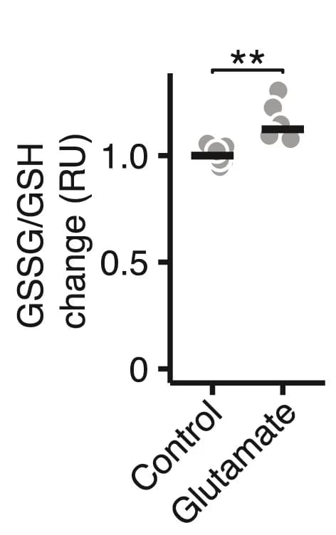 Open access visualization of Scatter Plot, GSSG/GSH ratio, Neurons, Glutamate