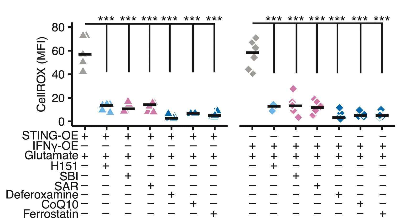 Open access visualization of Scatter Plot, CellROX, Mean Fluorescence Intensity, STING, IFNG