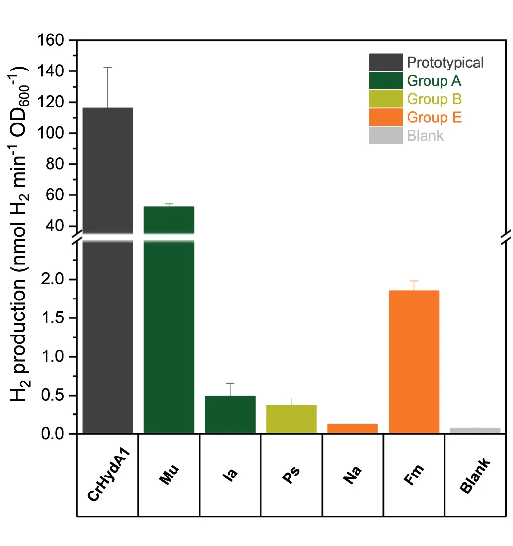 Open access visualization of Bar Plot, Error Bars, H2 Gas Production, Cell Lysates, E. Coli